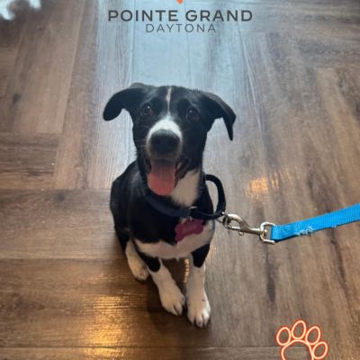 Instagram post thumbnail